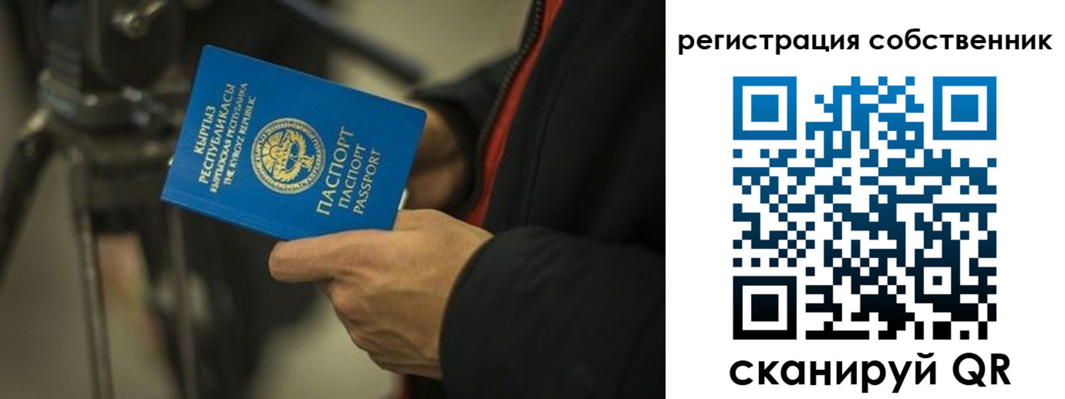 временная регистрация поиск в Находке